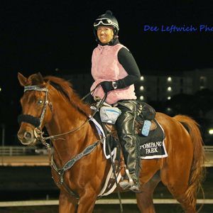 Meet your Posher, Camilla